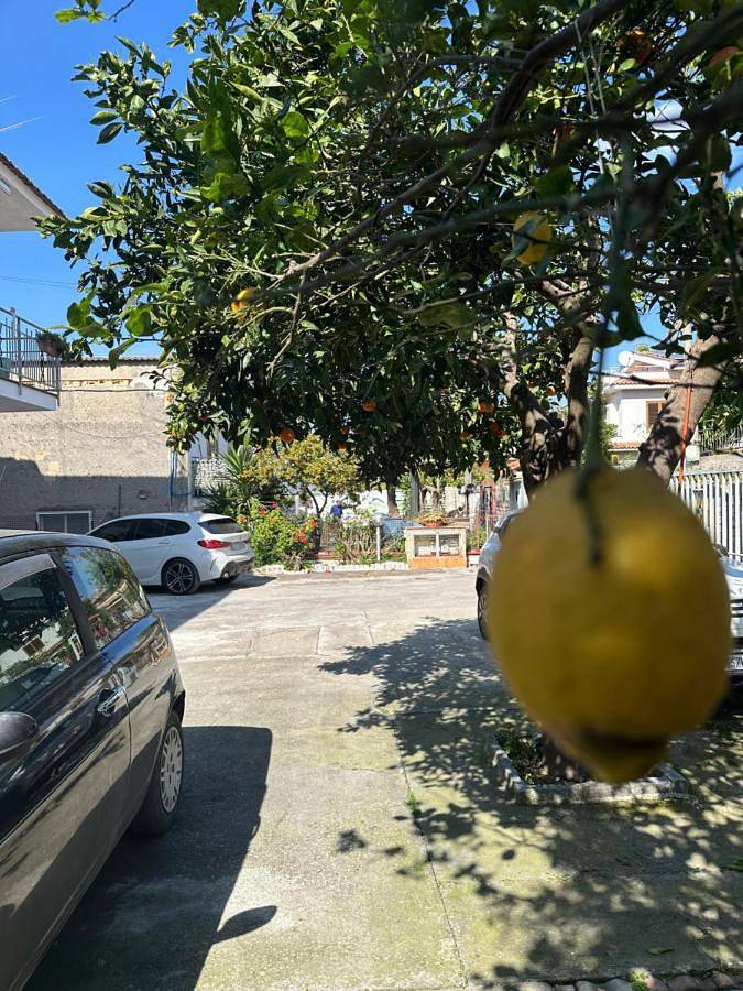 In famiglia appartamento con parcheggio gratuito vicino agli Scavi di Pompei e Costiera Amalfitana - ideale per gruppi e famiglie in Sant'Egidio del Monte Albino, Costa tirrenica Campania