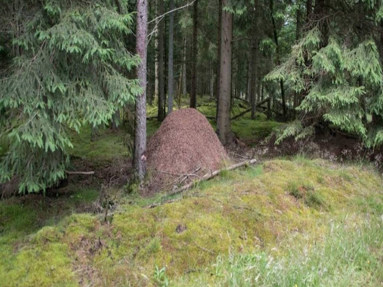 Retraite de luxe avec spa in Hummingen, Dannemare