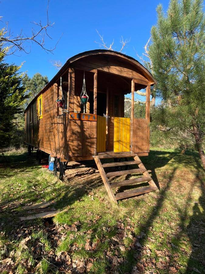 Location de vacances pour 15 personnes, avec piscine et jardin à Labouheyre - 2