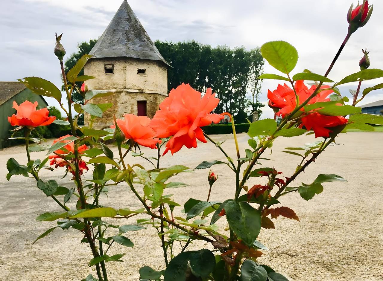 Chambres d'hôtes 'À La Ferme' avec terrasse partagée et Wi-Fi in Forest-Montiers, Région d'Abbeville
