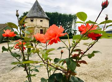 B&b voor 4 Personen in Forest-Montiers, Hauts-de-France, Afbeelding 1
