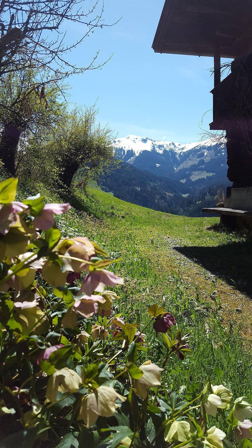 Weinrebenhütte Altensberg in Auffach, Wildschönau