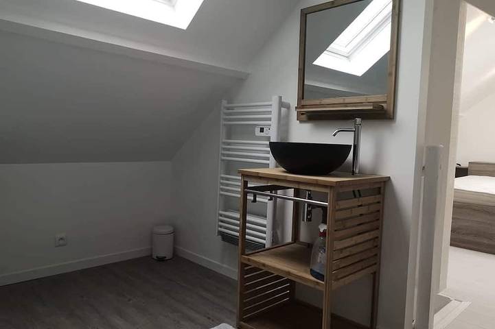 Location de vacances pour 4 personnes, avec terrasse, animaux acceptés dans Saint-Augustin (Seine-et-Marne) - 3