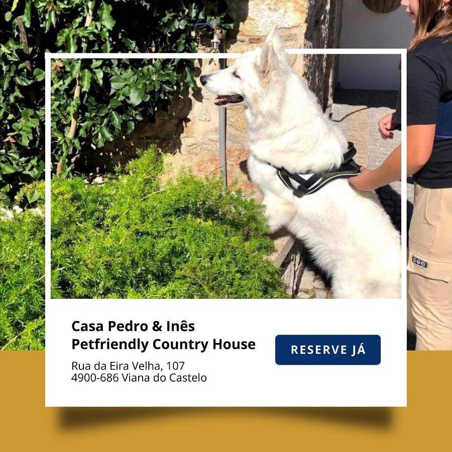 Casa Pedro e Inês in Meadela, Viana do Castelo