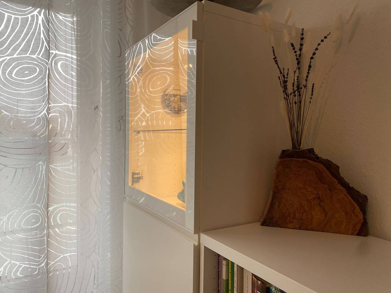 Ganze Ferienwohnung, Ferienwohnung Sterntaucher - 2-Zimmer-Fewo, 55 m², Hochparterre in Radolfzell am Bodensee, Untersee