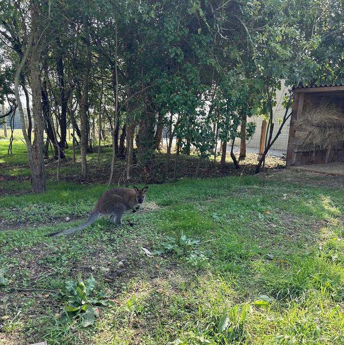 Location de vacances pour 4 personnes, avec jacuzzi ainsi que jardin et terrasse à Asnières-la-Giraud - 3