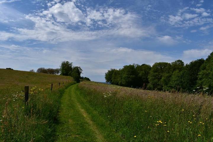 Gîte pour 4 personnes, avec terrasse et vue à Saint-Hilaire-Peyroux - 2