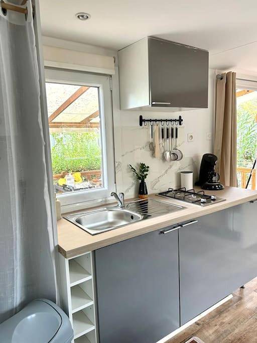 Gîte pour 6 personnes, avec terrasse ainsi que piscine et jacuzzi, animaux acceptés dans la Tamarissière