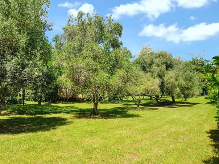 Bungalow pour 4 personnes, avec Terrasse à Santa-Lucia-di-Moriani