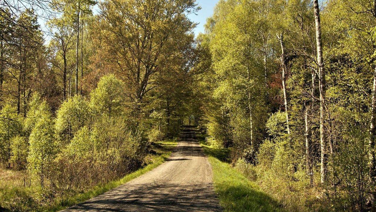 Feriehus til 4 Personer i Kronoberg, Uppvidinge region