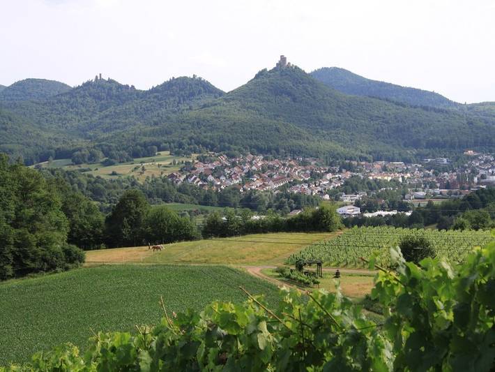 Ferienwohnung für 2 Personen, mit Balkon und Balkon/Terrasse sowie Garten im Pfälzer Wald - 4