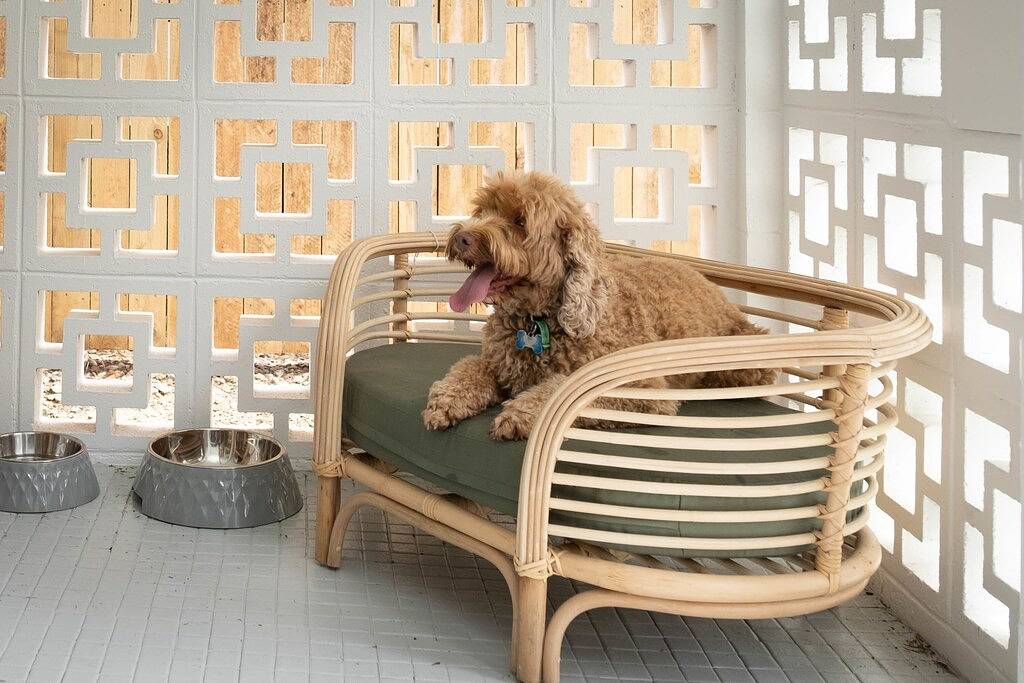 Stylish & Pet-Friendly Getaway – Your Tropical Escape Awaits in Cairns, Far North Queensland