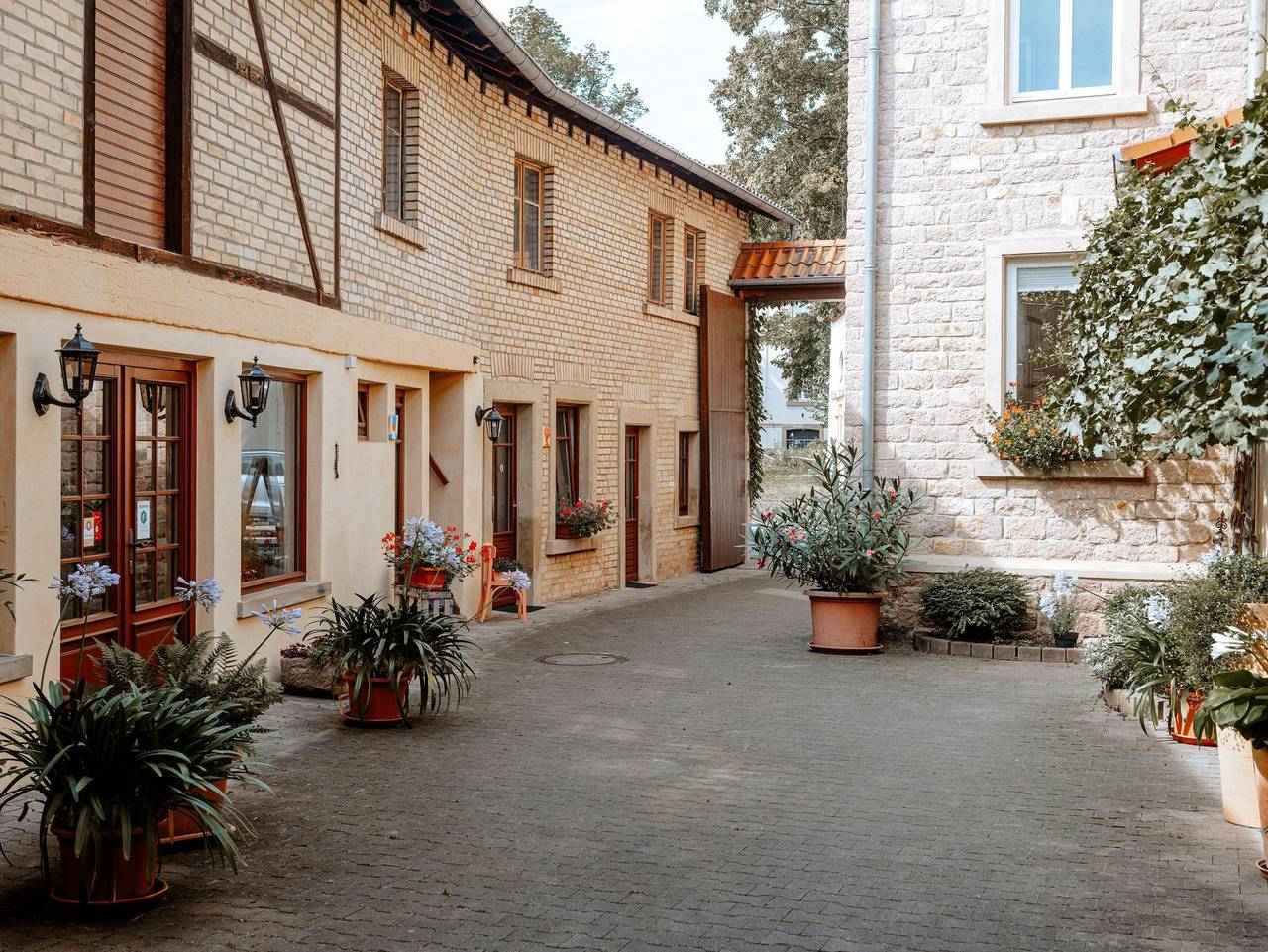 Weingut Zimmermann - Doppelzimmer, Dusche, Wc in Siefersheim, Rheinhessen