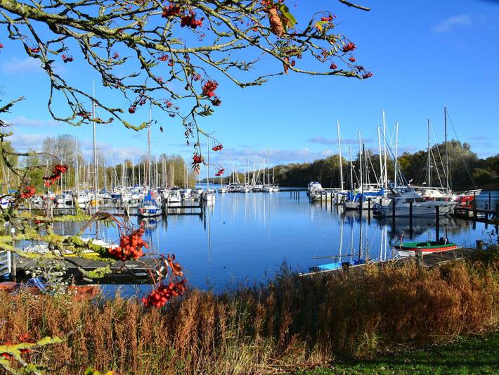 Ferienhaus für 7 Personen, mit Terrasse und Garten, mit Haustier in Hooksiel - 4