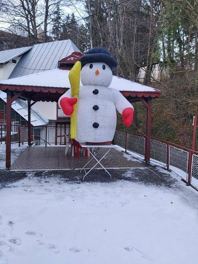 Gîte pour 3 personnes, avec vue et jardin à Sinaia - 2