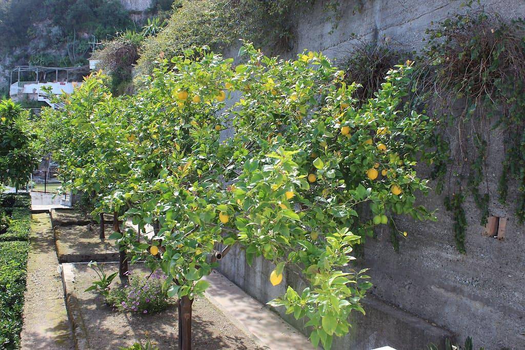 Appartamento intero, Fantastic Apartment With View In Vietri in Vietri sul Mare, Costiera amalfitana