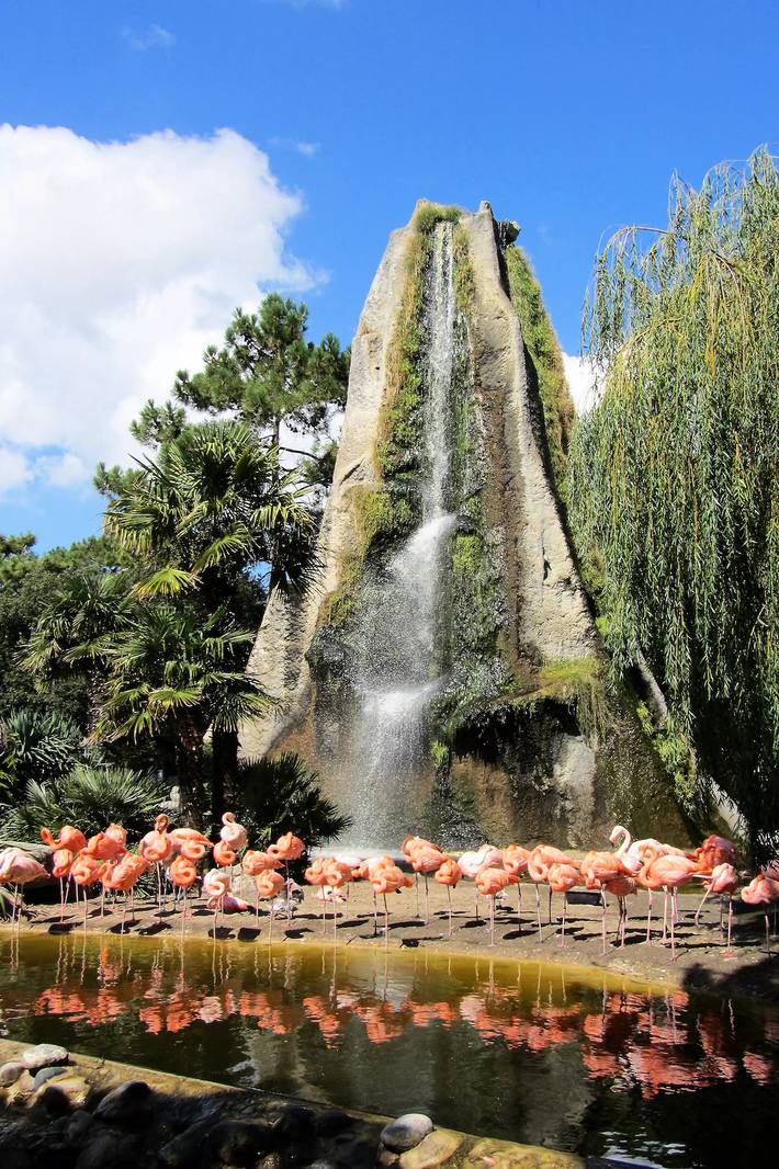 Camping für 10 Personen, mit Terrasse und Pool, mit Haustier in der Charente-Maritime - 3