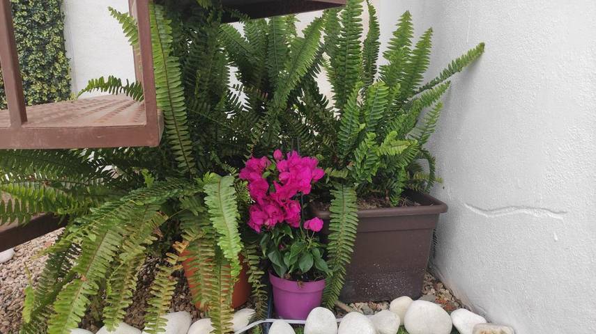 Casa rural para 5 personas, con vistas además de jardín y piscina en Canillas de Aceituno - 4