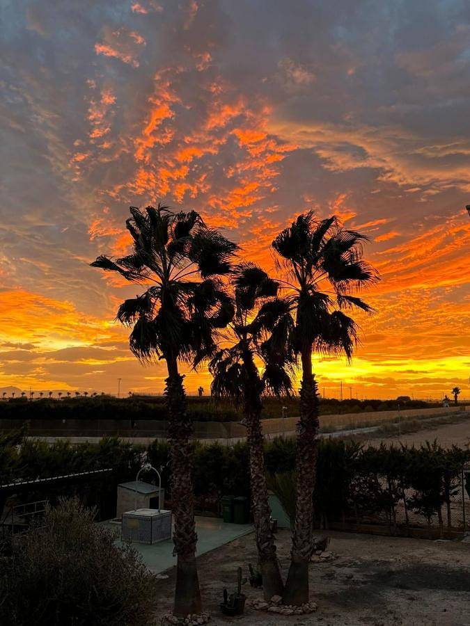 Casa rural para 13 personas, con jardín y piscina en Los Alcázares - 2