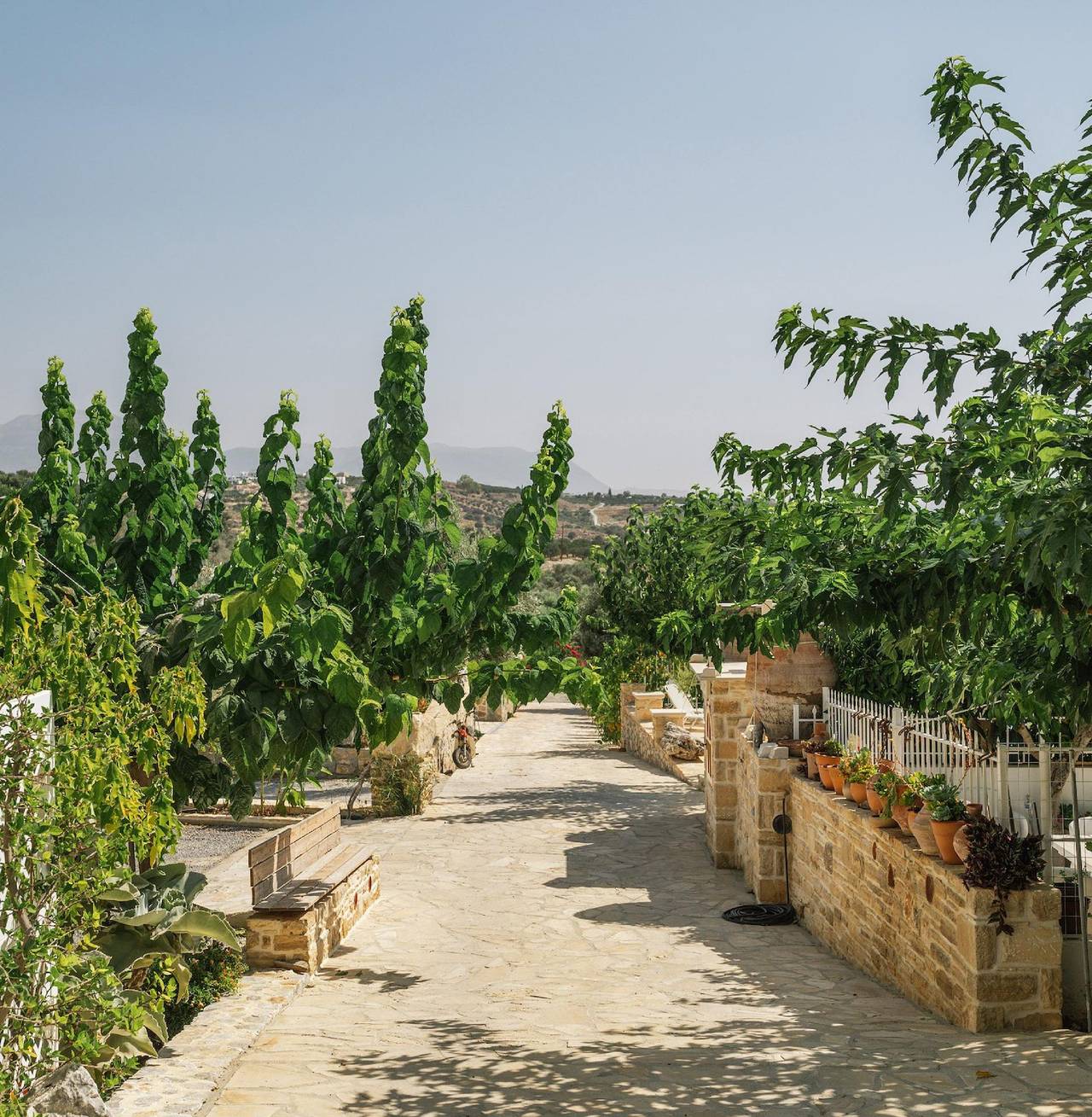 Villa Efthimia in Pitsidia, Iraklio-Heraklion und Umgebung