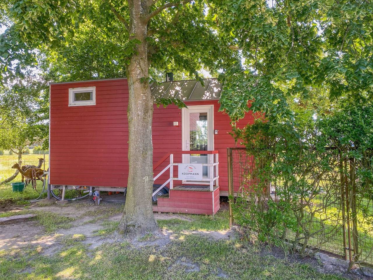Tiny House auf der Alpaka-Farm - Tiny House in Rubkow, Stettiner Haff