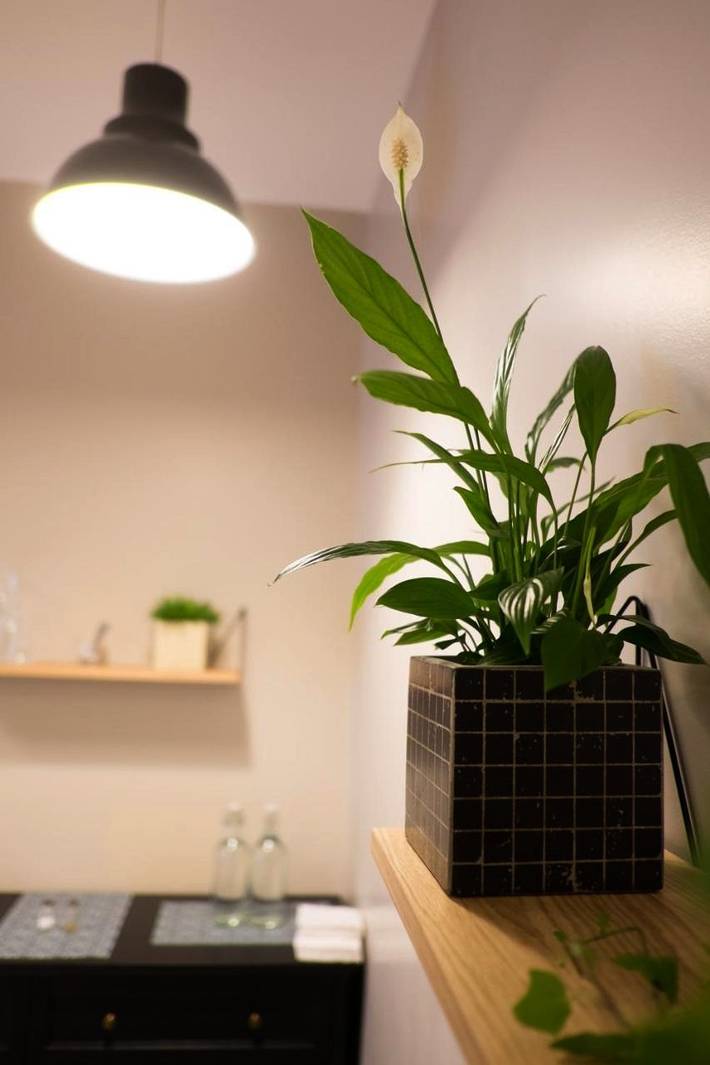 Hôtel pour 2 personnes, avec terrasse à Villeneuve-Saint-Georges - 4