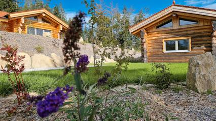 Chalet voor 4 Personen in Untergriesbach, Neder-Beieren, Afbeelding 2