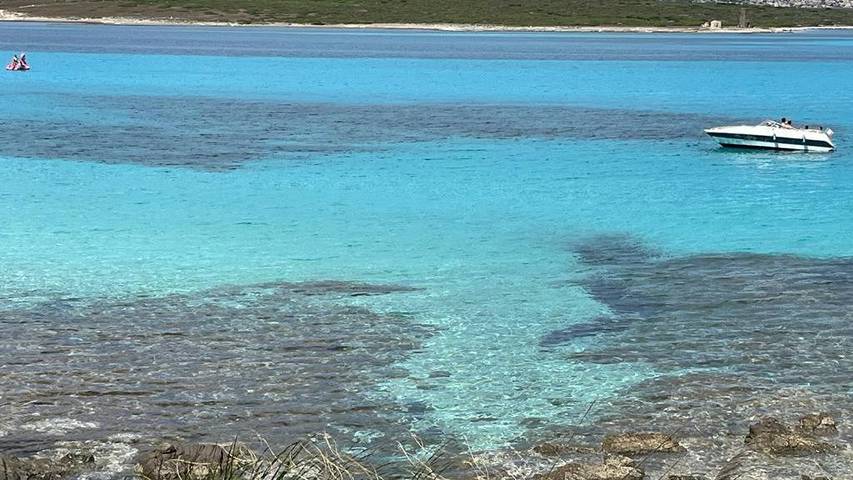Maison d’hôte pour 3 personnes à Porto Torres - 4