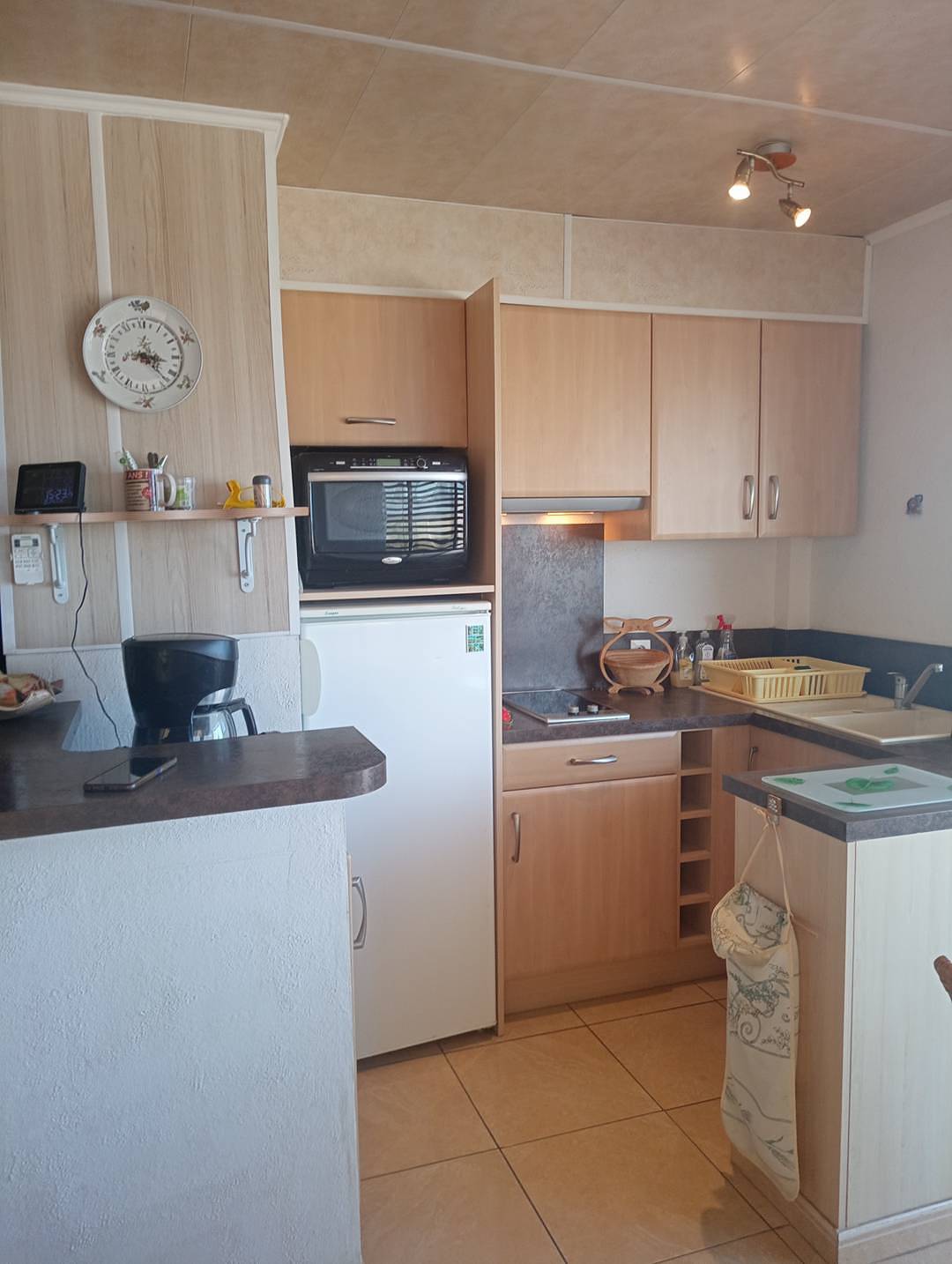 Geheel vakantieappartement, Spacious Sea-View Apartment one bedroom for 4  Air-Conditioned 4Beaul3 in Canet-en-Roussillon, Côte d'Améthyste