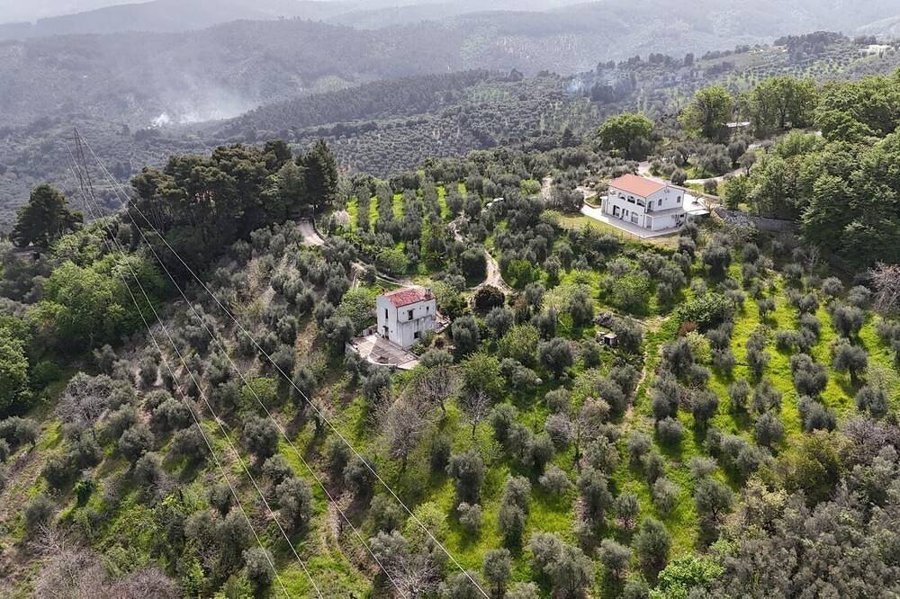 Mathematic Green - A look at nature in Vico del Gargano, Gargano