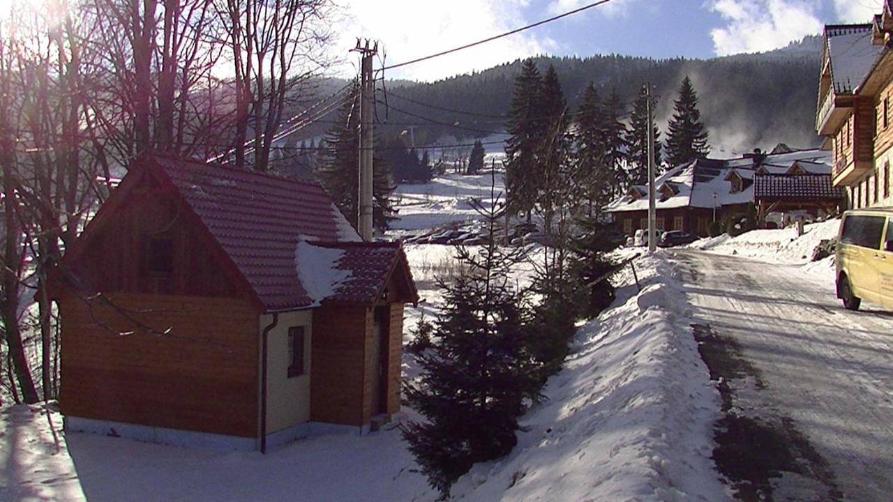 Cały apartament, Standard Double or Twin Room in Sienna, Sudety (Polska)