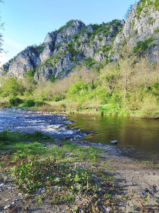 Camping Dobrunvik in Republika Serbska