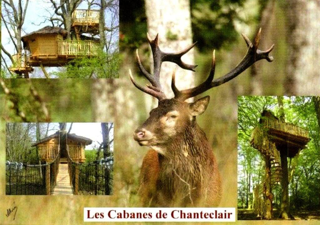 Cabanes dans les arbres et avec Spa privatif - cabanes 2 personnes in Chalais (Indre), Région de Le Blanc
