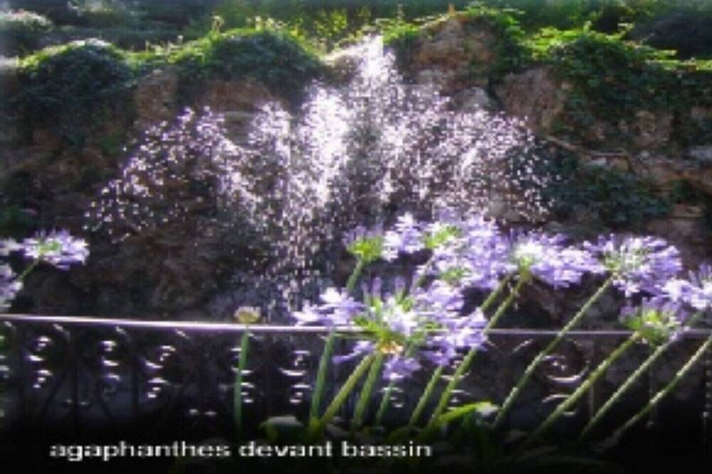 Chambre D’hôte pour 2 Personnes dans Bez-et-Esparon, Région du Vigan