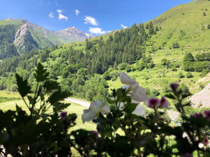 Chambre d’hôte pour 2 personnes, avec Terrasse ainsi que Jardin et Vue dans Parc national des Écrins - 2
