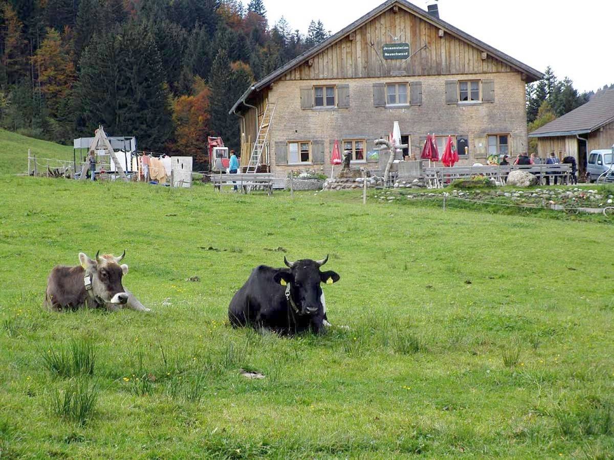 Jausenstation Neuschwand in Hittisau, Bregenz & Umgebung