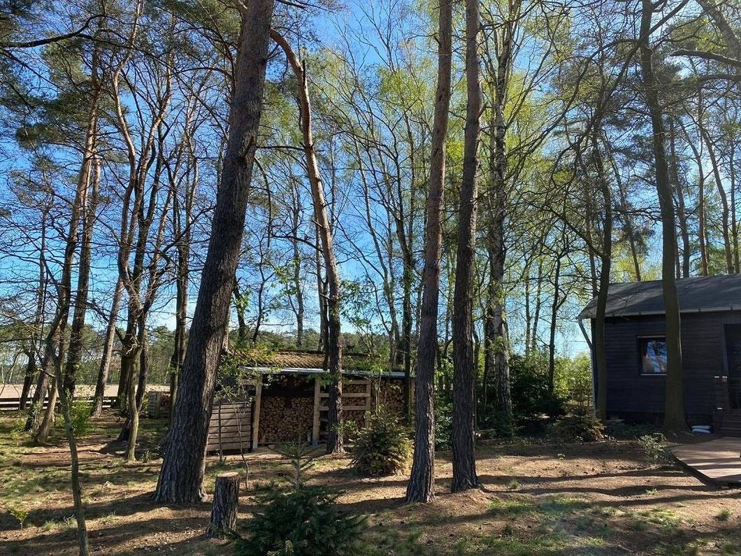 Wittingen in Wittingen, Landkreis Gifhorn