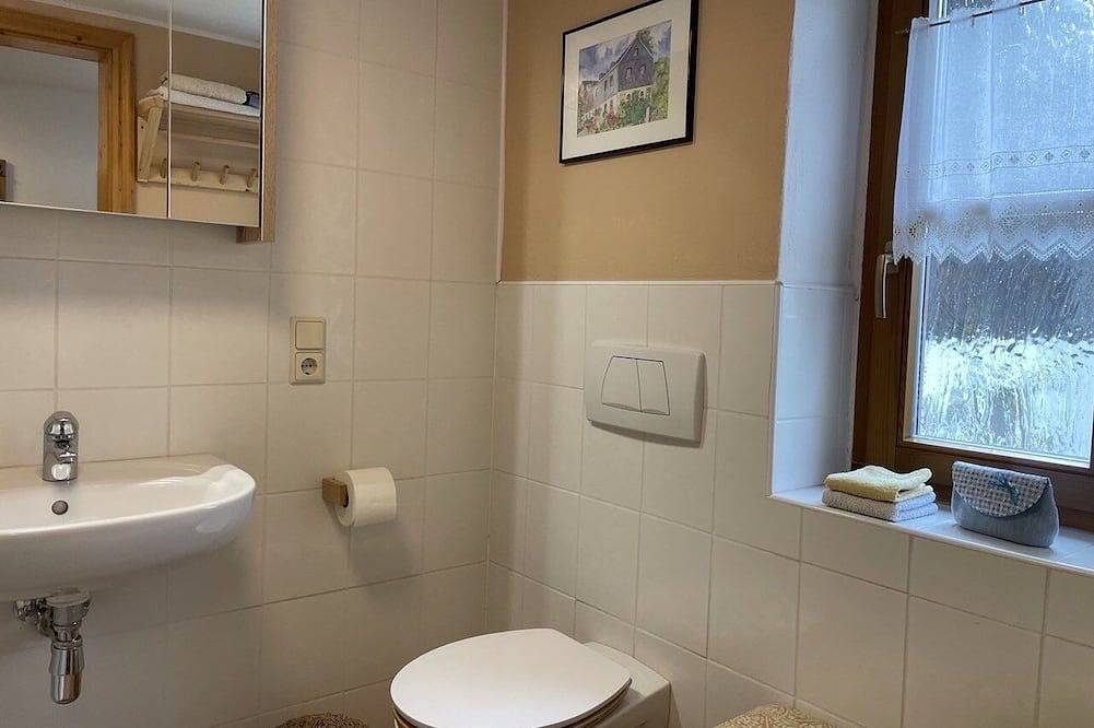 Ganze Wohnung, Gemütlich eingerichtete 36qm-Ferienwohnung in Berg (Oberfranken), Landkreis Hof