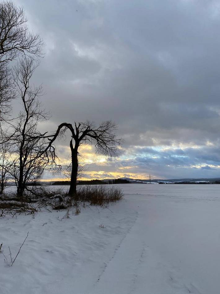 Ferienhaus für 8 Personen, mit Whirlpool und Garten sowie Sauna im Frankenwald - 4