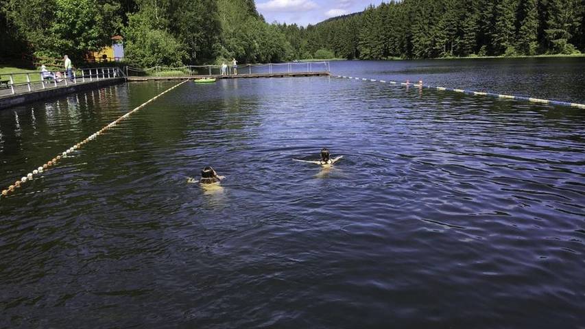 Ferienwohnung für 3 Personen, mit Garten, mit Haustier in Goslar - 2