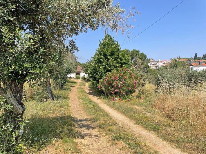 Casa rural para 4 personas, con vistas y jardín en Castelo de Vide - 2