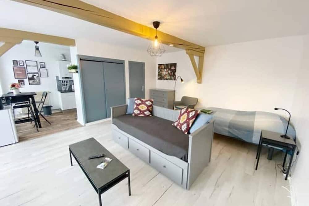 Entire apartment, Chic & Cosy Studio Business Centre Gare Netflix in Saint-Étienne, Loire