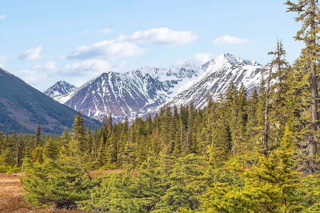Gemütliches Chalet mit privatem Whirlpool und Blick - zu den Skipisten gehen, Hunde willkommen in Girdwood, Anchorage