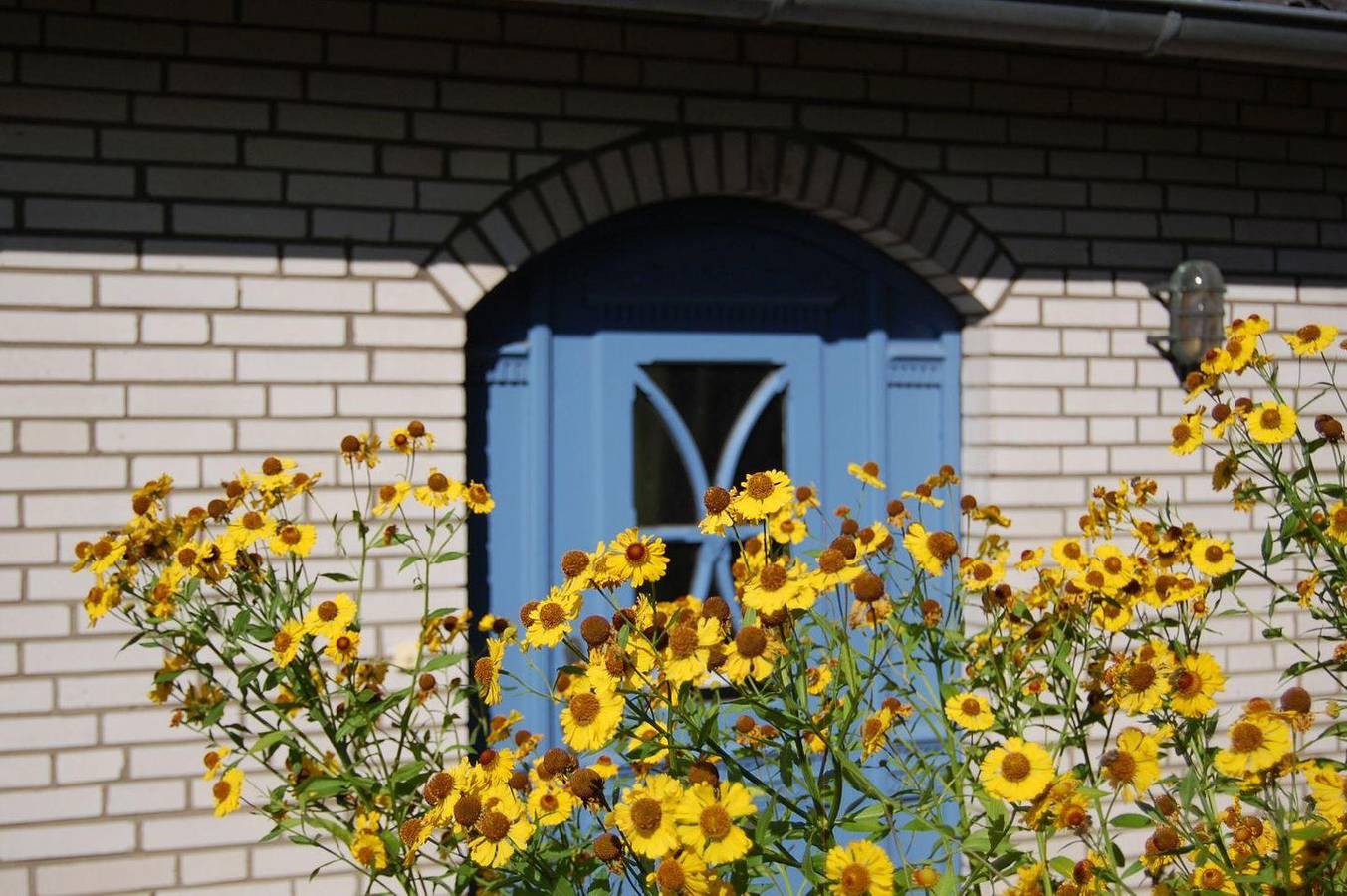 Ferienhaus "Schlei-Rose" in Schaalby in Schaalby, Schleswig & Umgebung