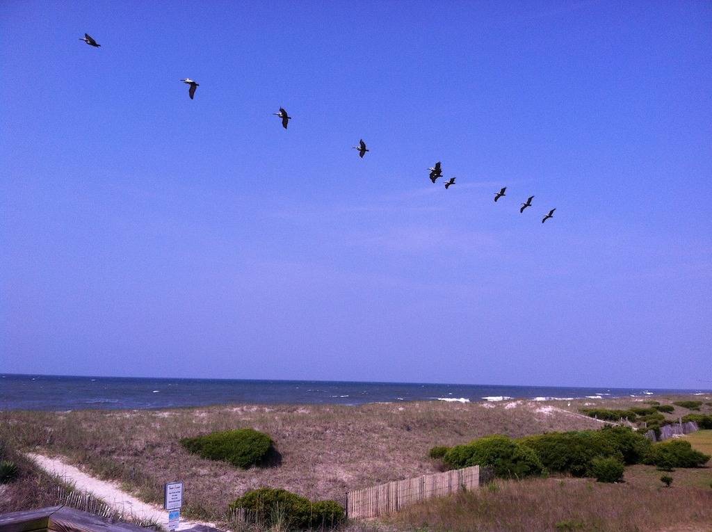 Schauen Sie sich unseren Sofortbuchungsrabatt von 10% vom 25. Oktober bis 26. Januar an in Oak Island (NC), Brunswick County