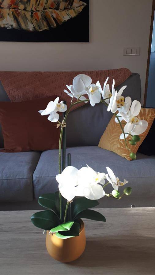 Gîte pour 2 personnes, avec jardin et vue à Ostwald - 3