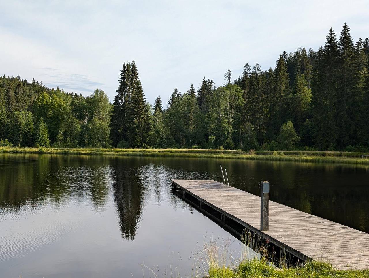 Ferienwohnung am Almberg - Ferienwohnung mit Saunazugang im Haus in Mitterfirmiansreut, Philippsreut