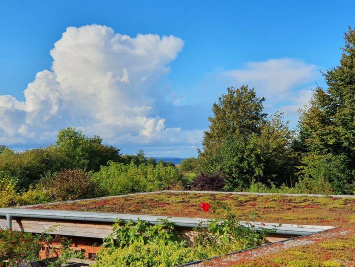 Ferienwohnung für 5 Personen, mit Terrasse und Garten sowie Ausblick in Niesgrau