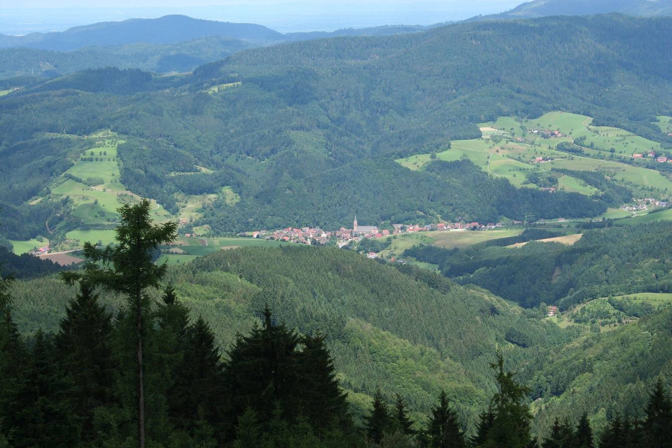 Apartamento inteiro, Apartamento moderno para férias com cão in Oberharmersbach, Central Black Forest