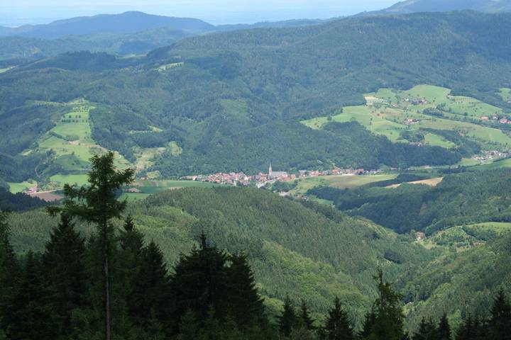Ferienwohnung für 4 Personen, mit Balkon und Garten in Oberharmersbach - 4